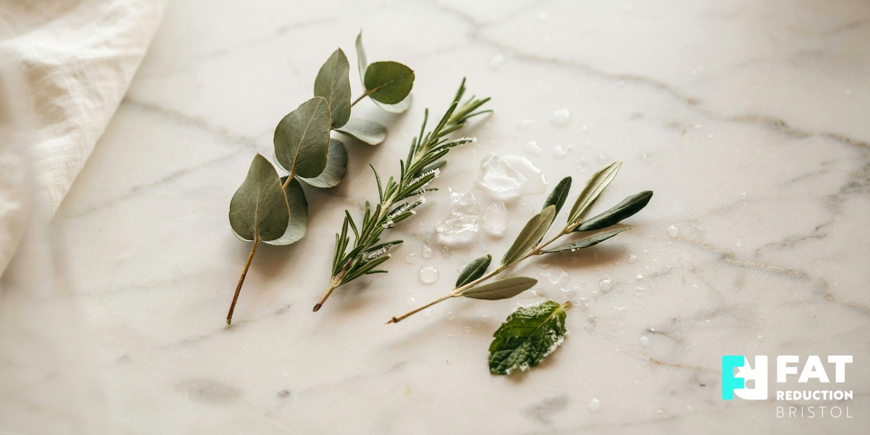 A photograph of frost-dusted botanical sprigs and scattered ice on a pale marble surface in soft daylight