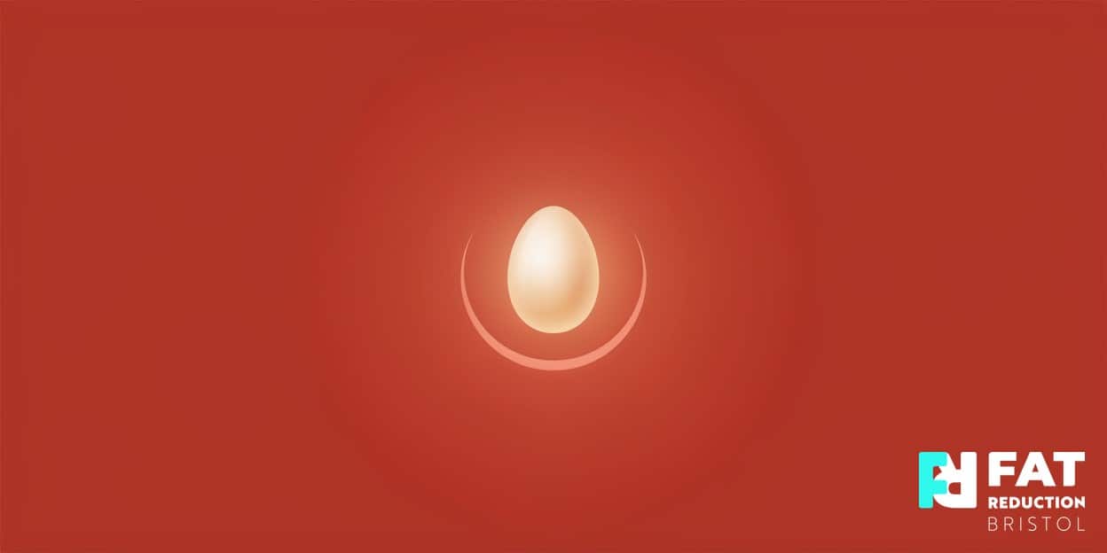 A flat-vector illustration of a single glowing egg cradled in a crescent, on a bold brick-red background